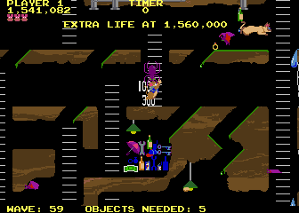 notice spider and cat position